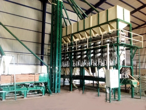 Cụm thiết bị phân loại tiêu hạt (Năng suất 3 tấn/h)